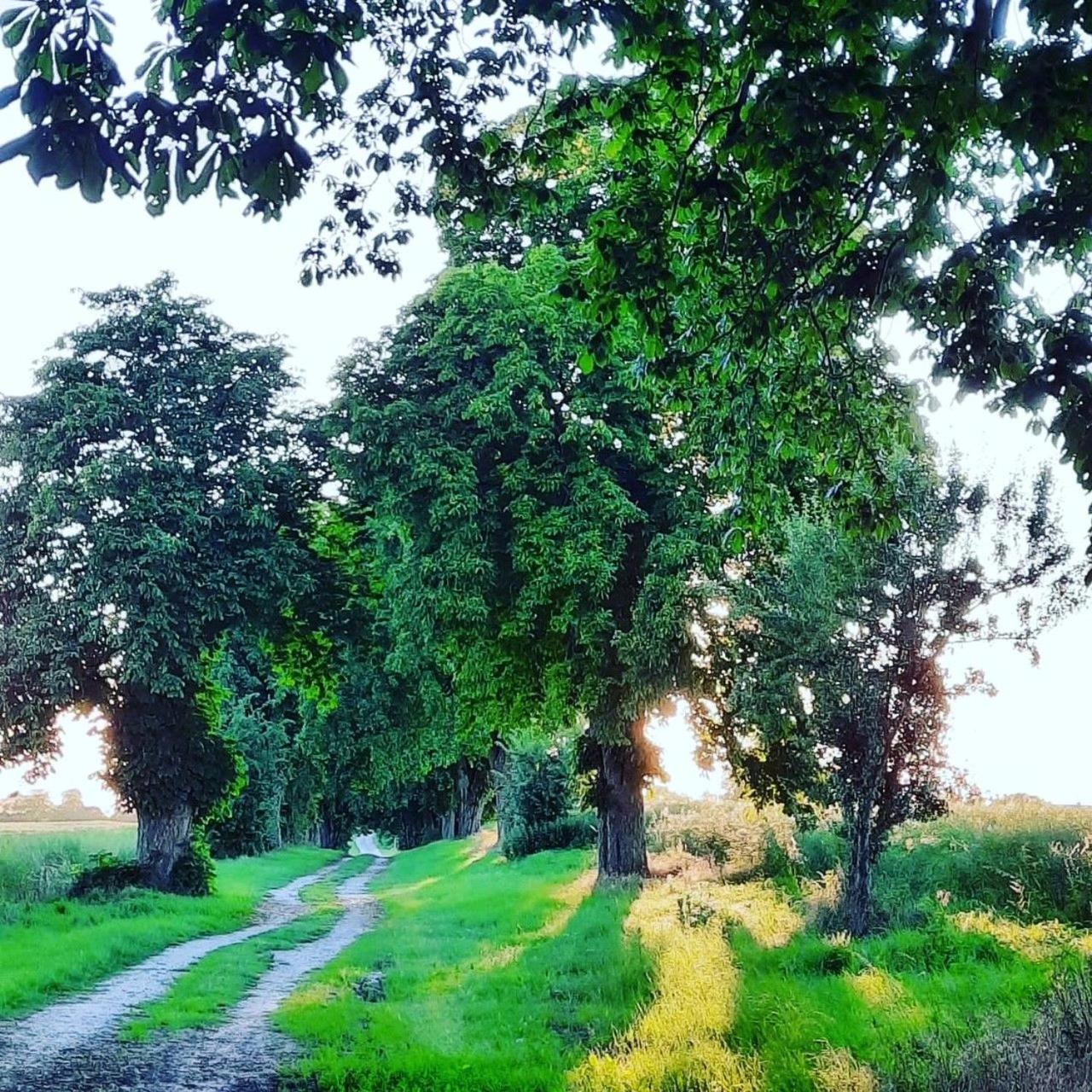 Ferien_Haus Arkadien Gohren-Lebbin Bagian luar foto